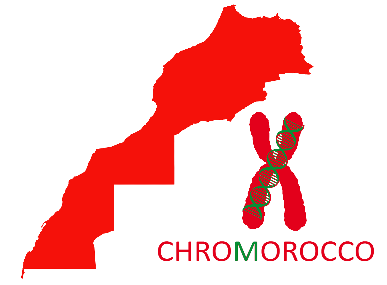 ChroMorocco Logo
